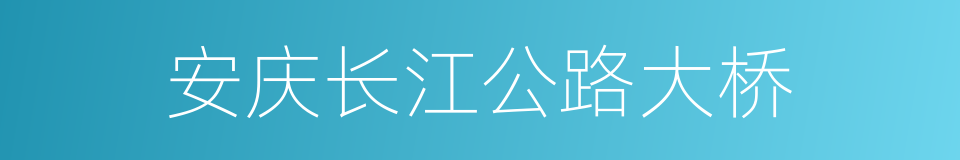 安庆长江公路大桥的同义词