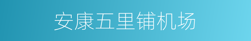 安康五里铺机场的同义词