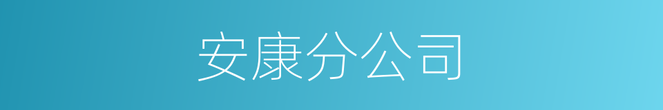 安康分公司的同义词