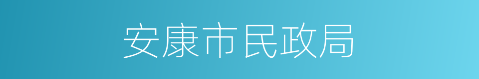 安康市民政局的同义词