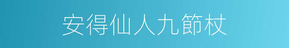 安得仙人九節杖的同義詞