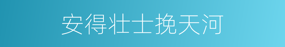 安得壮士挽天河的同义词