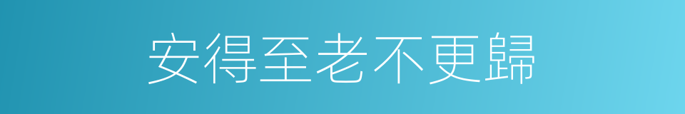 安得至老不更歸的同義詞