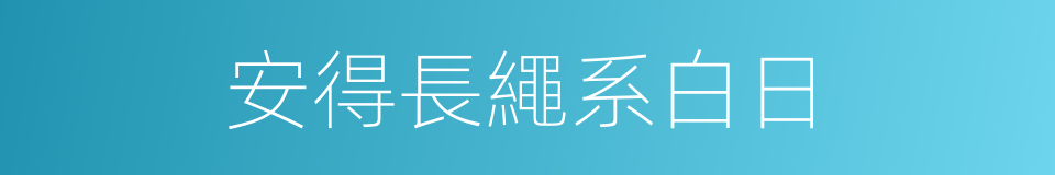 安得長繩系白日的同義詞