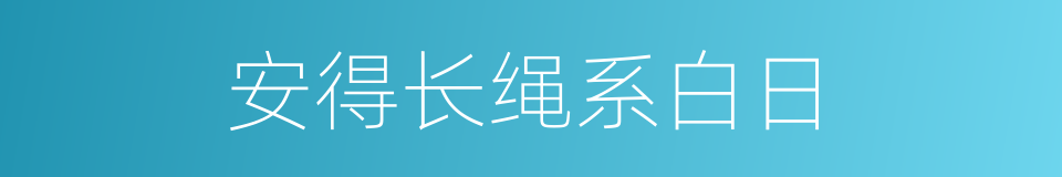 安得长绳系白日的同义词