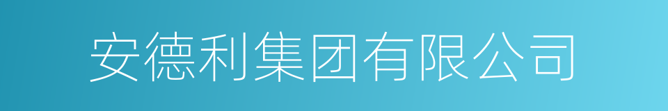 安德利集团有限公司的同义词