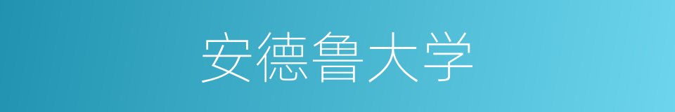 安德鲁大学的同义词