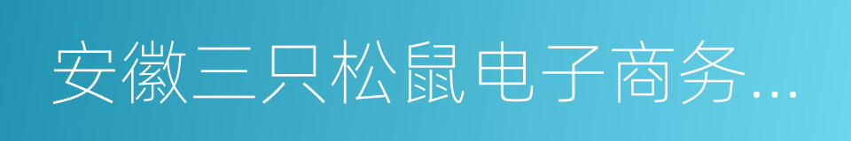 安徽三只松鼠电子商务有限公司的同义词