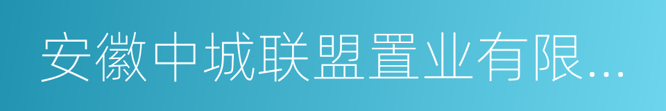 安徽中城联盟置业有限公司的同义词