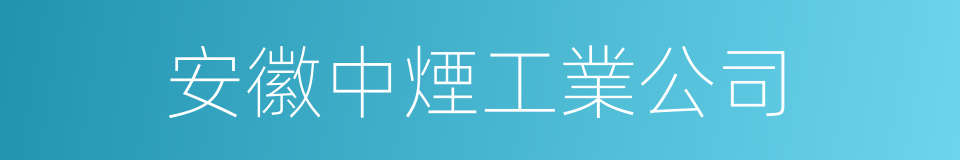 安徽中煙工業公司的同義詞