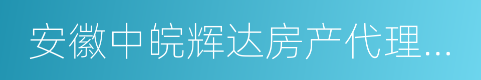 安徽中皖辉达房产代理销售有限公司的同义词