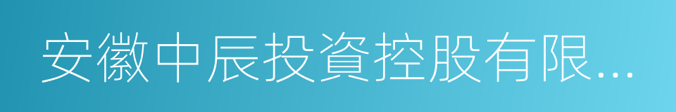 安徽中辰投資控股有限公司的同義詞