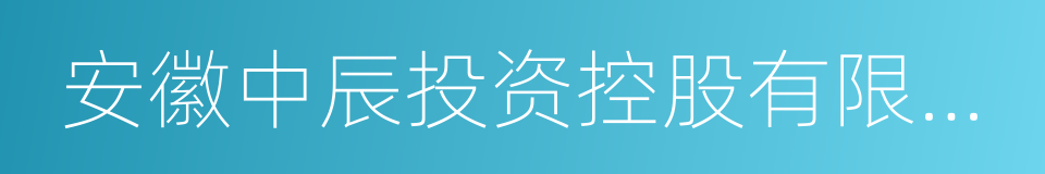 安徽中辰投资控股有限公司的同义词