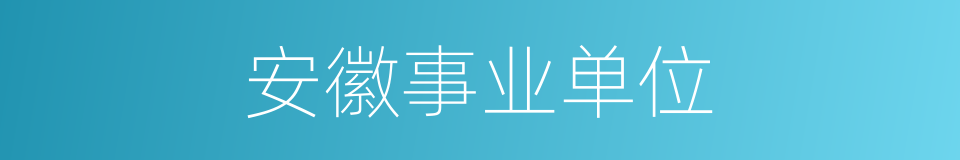 安徽事业单位的同义词