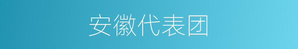 安徽代表团的同义词