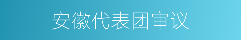 安徽代表团审议的同义词