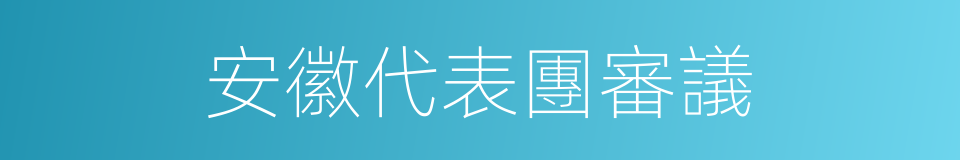 安徽代表團審議的同義詞