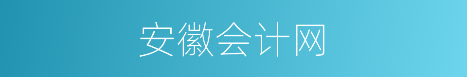 安徽会计网的同义词