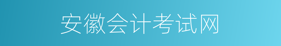 安徽会计考试网的同义词