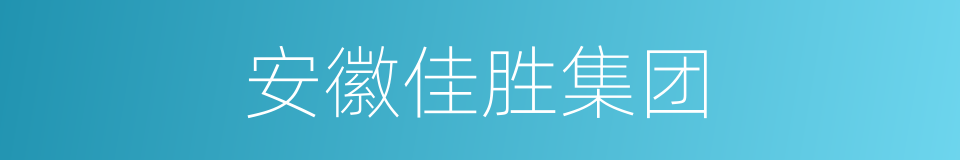 安徽佳胜集团的同义词