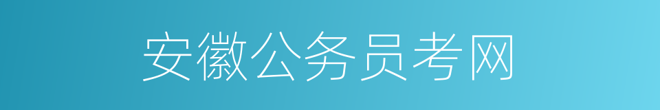 安徽公务员考网的同义词