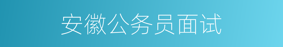 安徽公务员面试的同义词