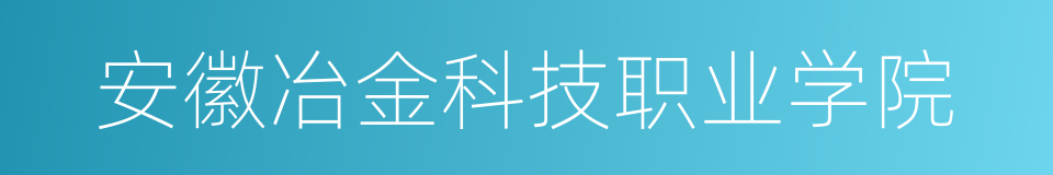 安徽冶金科技职业学院的同义词