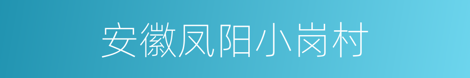 安徽凤阳小岗村的同义词