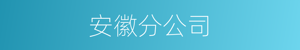 安徽分公司的同义词