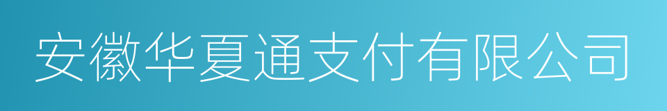 安徽华夏通支付有限公司的意思