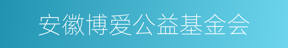 安徽博爱公益基金会的同义词