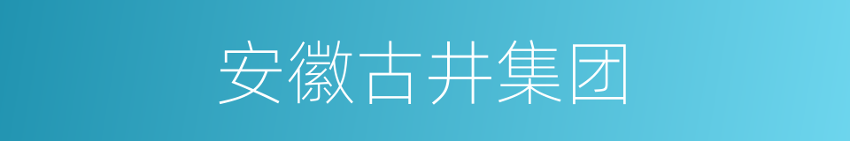 安徽古井集团的同义词