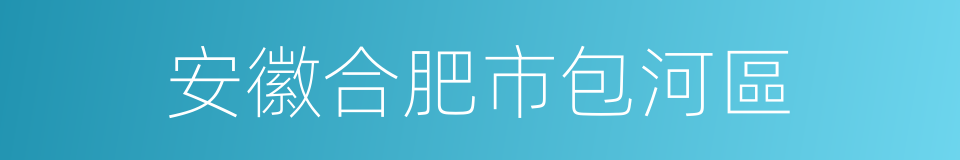 安徽合肥市包河區的同義詞