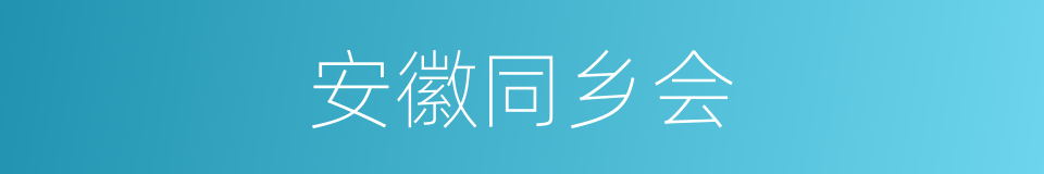 安徽同乡会的同义词