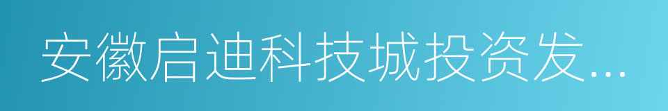 安徽启迪科技城投资发展有限公司的同义词