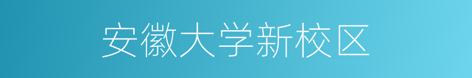 安徽大学新校区的同义词