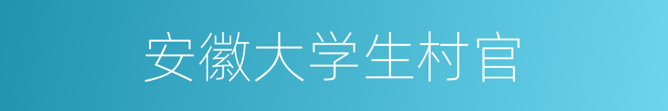 安徽大学生村官的同义词