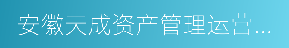 安徽天成资产管理运营有限公司的同义词