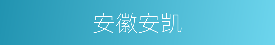 安徽安凯的同义词