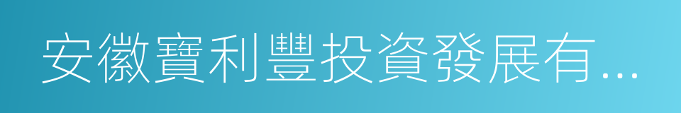 安徽寶利豐投資發展有限公司的同義詞