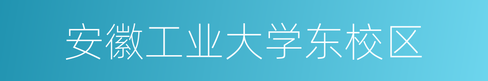 安徽工业大学东校区的同义词