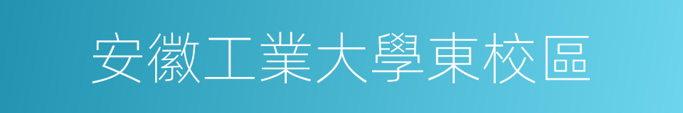 安徽工業大學東校區的同義詞