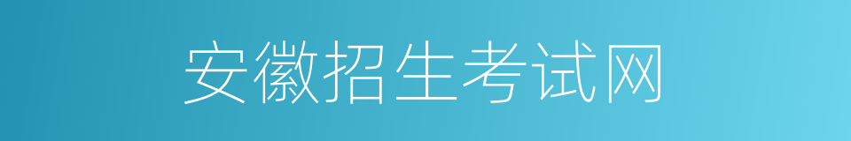 安徽招生考试网的同义词