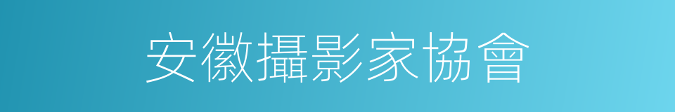 安徽攝影家協會的同義詞