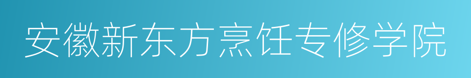 安徽新东方烹饪专修学院的同义词