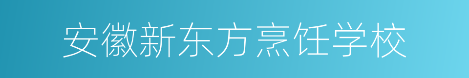 安徽新东方烹饪学校的同义词