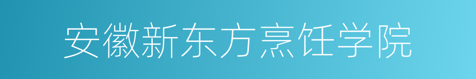 安徽新东方烹饪学院的同义词