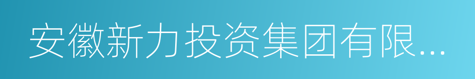 安徽新力投资集团有限公司的同义词