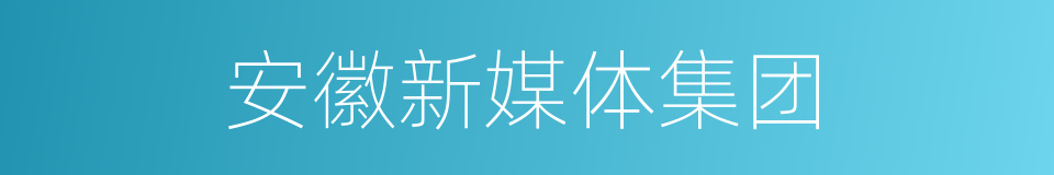 安徽新媒体集团的同义词