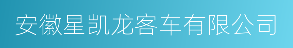 安徽星凯龙客车有限公司的同义词